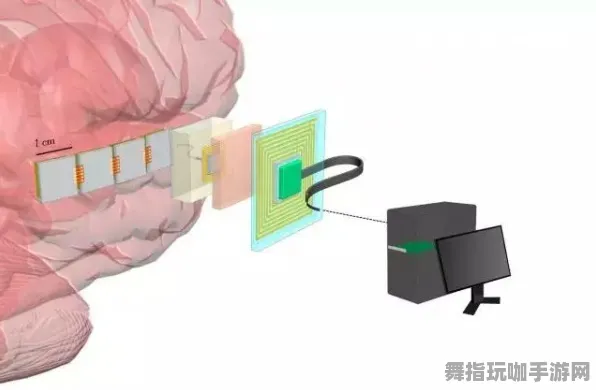 神经信号编码全流程-开放世界RPG-S2赛季专属-脑机接口专用版 神经信号编码全流程-开放世界RPG-S2赛季专属-脑机接口专用版