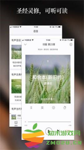 精读圣经2024免费版