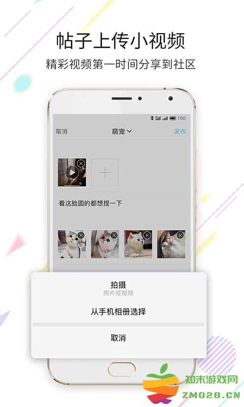 嘉兴第九区 嘉兴第九区手机版下载