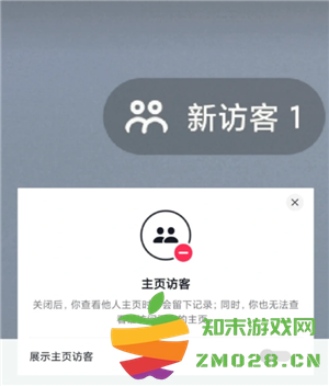 抖音访客一开一关有记录吗 抖音访客显示1点开却没有怎么回事 抖音访客一开一关有记录吗 抖音访客显示1点开却没有怎么回事