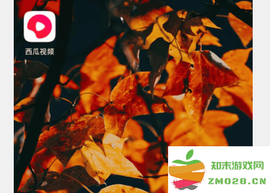 西瓜视频怎么看电视剧教程 西瓜视频app看电视剧教程