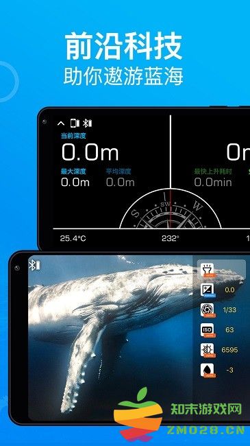 dive+潜水diveplus dive+app