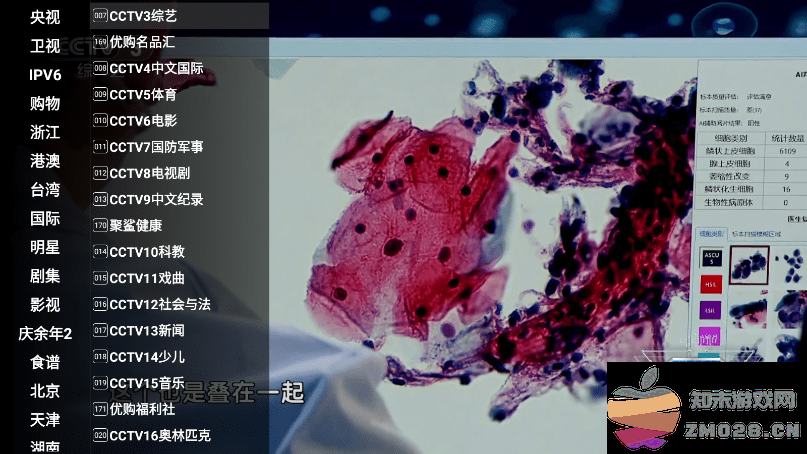 星火直播手机版 星火直播app官方下载