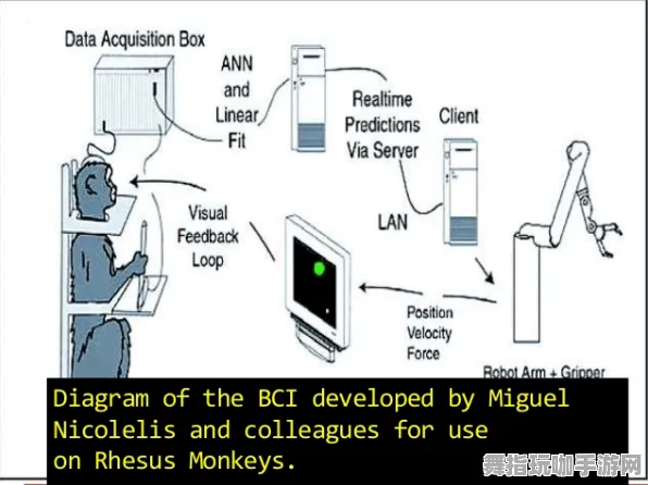 脑机接口游戏-GDC 2025游戏开发者大会已结束37天-脑机接口专用版-隐藏任务解析 脑机接口游戏-GDC 2025游戏开发者大会已结束37天-脑机接口专用版-隐藏任务解析
