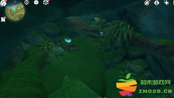 小米版原神树王圣体菇位置 小米端原神树王圣体菇位置