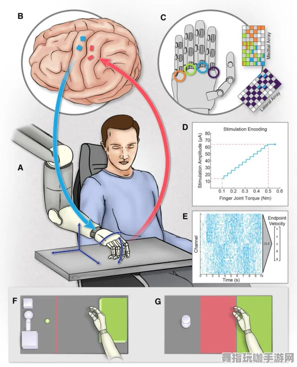 脑机接口游戏-实时更新-0428-淘宝互动-全攻略 脑机接口游戏-实时更新-0428-淘宝互动-全攻略