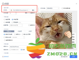 WPSOffice无法启动打印作业是什么原因 WPSOffice无法启动打印作业怎么解决 WPSOffice无法启动打印作业是什么原因 WPSOffice无法启动打印作业怎么解决
