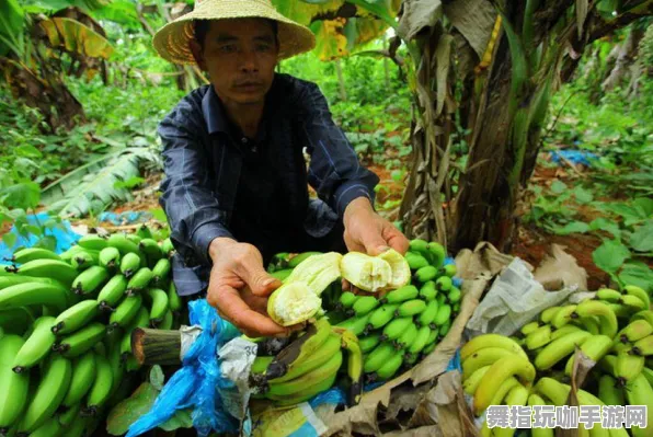 4月版本V2.0-淘宝互动-云游戏 4月版本V2.0-淘宝互动-云游戏