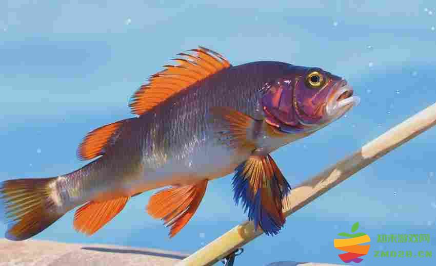 创造与魔法弹涂鱼高产区深度解析与采集路线 创造与魔法弹涂鱼高产区深度解析与采集路线