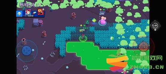 荒野乱斗新手推荐英雄 荒野乱斗新手推荐英雄说明