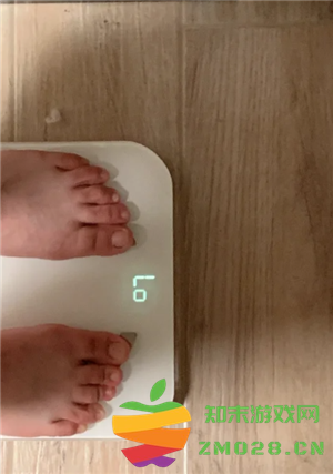 薄荷健康体脂秤怎么绑定 薄荷健康体脂秤显示lo是什么意思 薄荷健康体脂秤怎么绑定 薄荷健康体脂秤显示lo是什么意思