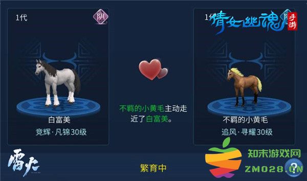 倩女幽魂高品质马攻略 倩女幽魂高品质马教程