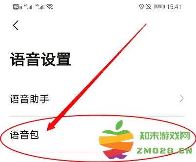 高德地图小团团怎么设置详细模式 高德地图小团团设置教程