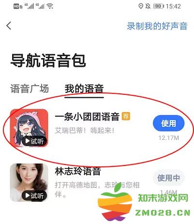 高德地图小团团怎么设置详细模式 高德地图小团团设置教程