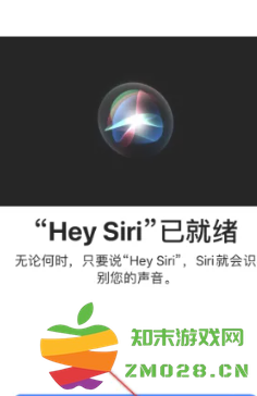 苹果手机怎么设置Siri唤醒 苹果手机怎么设置Siri只认我的声音 苹果手机怎么设置Siri唤醒 苹果手机怎么设置Siri只认我的声音