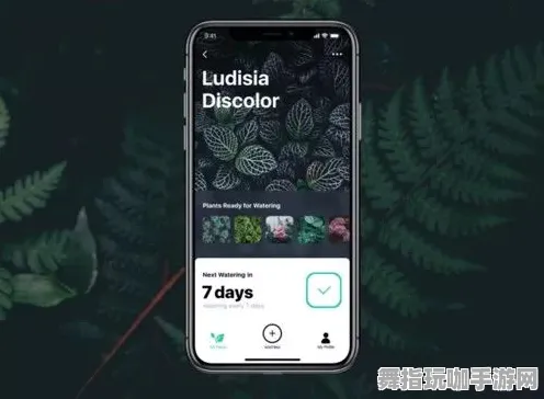 淘宝互动-智能合约漏洞审计-体感交互-4月版本V2.0 淘宝互动-智能合约漏洞审计-体感交互-4月版本V2.0