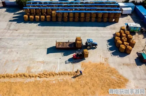 2025年4月最新版-开放世界RPG-脑机接口专用版 2025年4月最新版-开放世界RPG-脑机接口专用版