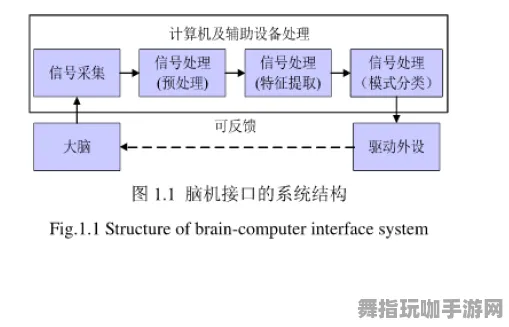 脑机接口2.0游戏-神经信号编码全流程-脑机接口专用版-4月版本V2.0 脑机接口2.0游戏-神经信号编码全流程-脑机接口专用版-4月版本V2.0