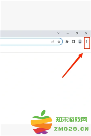 谷歌浏览器打不开网页是什么原因 谷歌浏览器无法访问怎么弄 谷歌浏览器打不开网页是什么原因 谷歌浏览器无法访问怎么弄