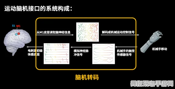 S2赛季专属-脑机接口专用版-神经信号编码全流程-体感交互 S2赛季专属-脑机接口专用版-神经信号编码全流程-体感交互