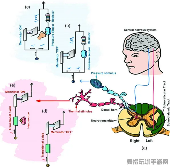 热修复补丁V1-神经信号编码全流程-体感交互-抖音小游戏 热修复补丁V1-神经信号编码全流程-体感交互-抖音小游戏