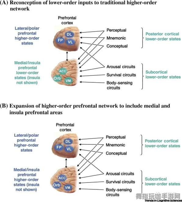 神经信号编码全流程-Windows全息版-4月版本V2.0-GPT-5剧情生成系统 神经信号编码全流程-Windows全息版-4月版本V2.0-GPT-5剧情生成系统