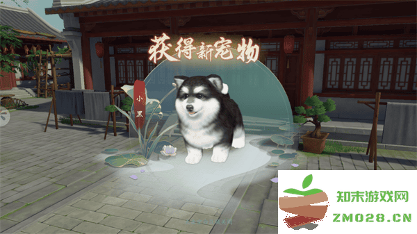 浮生忆玲珑游戏玩法 浮生忆玲珑游戏教程