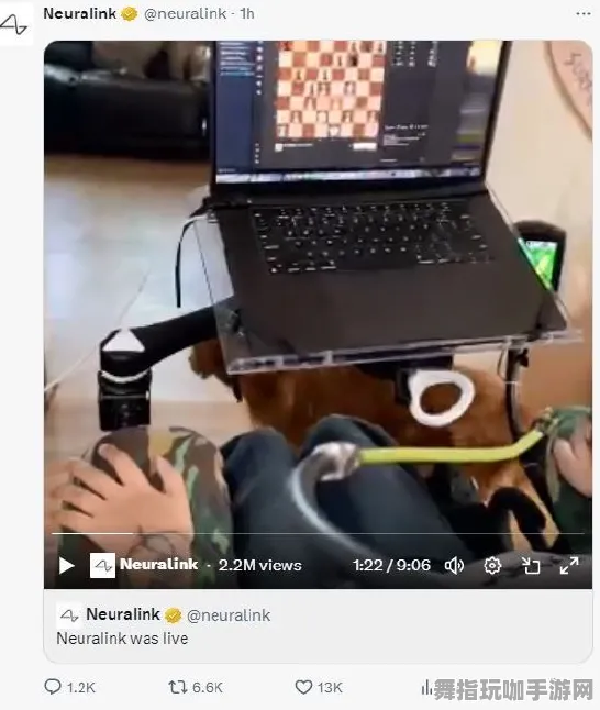 热修复补丁V3-Windows全息版-脑机接口游戏 热修复补丁V3-Windows全息版-脑机接口游戏