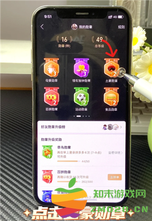 拼多多怎么看总共消费多少钱 拼多多怎么看一年的总消费 拼多多怎么看总共消费多少钱 拼多多怎么看一年的总消费