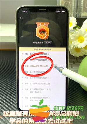 拼多多怎么看总共消费多少钱 拼多多怎么看一年的总消费 拼多多怎么看总共消费多少钱 拼多多怎么看一年的总消费