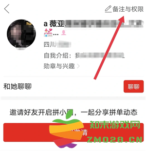 拼多多拼小圈怎么打开 拼多多拼小圈怎么添加好友 拼多多拼小圈怎么打开 拼多多拼小圈怎么添加好友