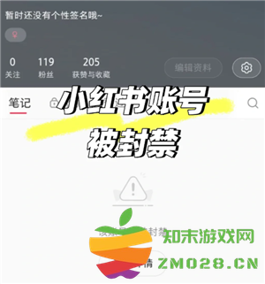 小红书封号是怎么回事 小红书封号机制是什么 小红书封号是怎么回事 小红书封号机制是什么