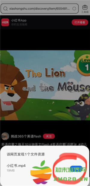 小红书app视频怎么下载 小红书app视频下载方法 小红书app视频怎么下载 小红书app视频下载方法