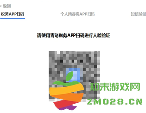 电子税务局网页版打不开怎么办 电子税务局网页版打不开是怎么回事 电子税务局网页版打不开怎么办 电子税务局网页版打不开是怎么回事