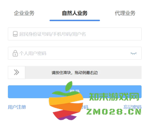 电子税务局实名流程 电子税务局实名等级四级是什么意思 电子税务局实名流程 电子税务局实名等级四级是什么意思