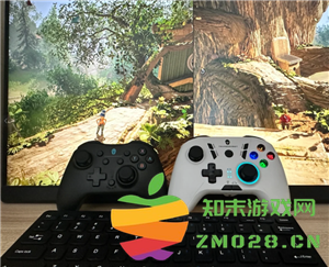 steam双人游戏一个人买可以两个人玩吗 steam双人游戏需要两个人都购买吗 steam双人游戏一个人买可以两个人玩吗 steam双人游戏需要两个人都购买吗