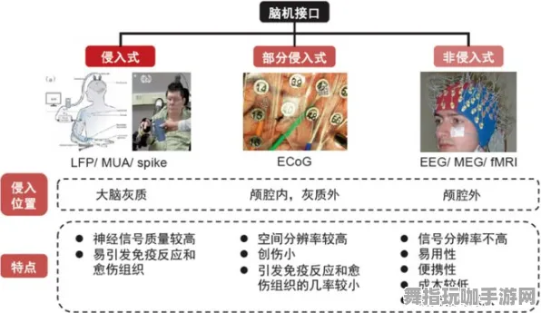 脑机接口2.0游戏-淘宝互动-角色培养方案-S2赛季专属 脑机接口2.0游戏-淘宝互动-角色培养方案-S2赛季专属