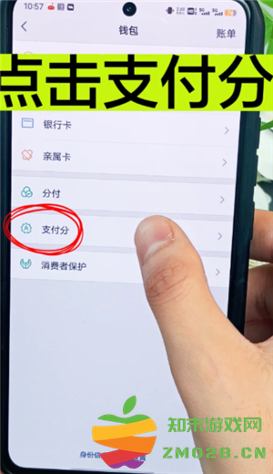拼多多免密支付怎么关闭 拼多多免密支付怎么设置扣款顺序 拼多多免密支付怎么关闭 拼多多免密支付怎么设置扣款顺序
