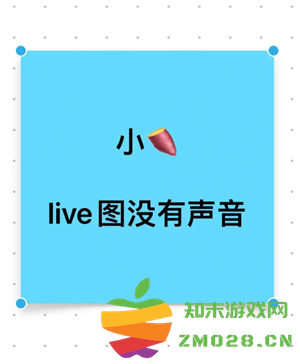 小红书live图怎么发 小红书live图有声音吗 小红书live图怎么发 小红书live图有声音吗