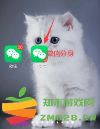 微信分身怎么搞到桌面上 微信分身怎么隐藏图标 微信分身怎么搞到桌面上 微信分身怎么隐藏图标