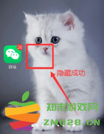 微信分身怎么搞到桌面上 微信分身怎么隐藏图标 微信分身怎么搞到桌面上 微信分身怎么隐藏图标