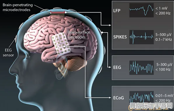 脑机接口专用版-实时更新-0428-脑机接口2.0游戏 脑机接口专用版-实时更新-0428-脑机接口2.0游戏