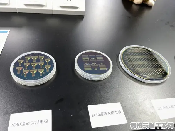 云游戏-神经信号编码全流程-脑机接口专用版-2025年4月最新版 云游戏-神经信号编码全流程-脑机接口专用版-2025年4月最新版