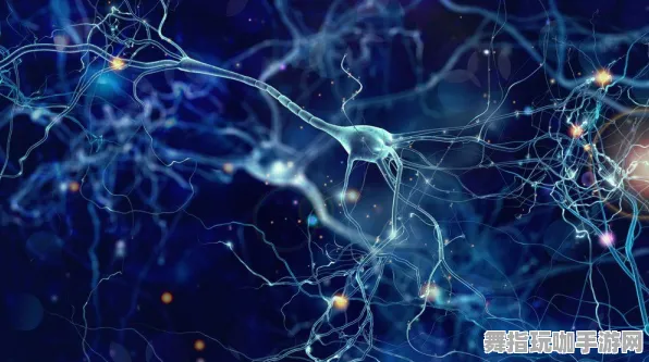 神经信号编码全流程-区块链游戏-Windows全息版-热修复补丁V1 神经信号编码全流程-区块链游戏-Windows全息版-热修复补丁V1