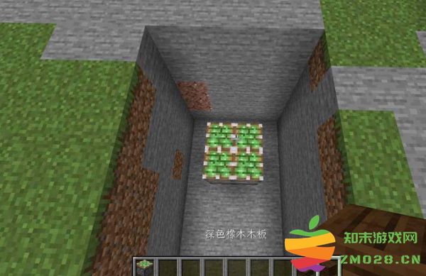 我的世界基岩版地板机关制作攻略 我的世界基岩版怎么制作地板机关攻略