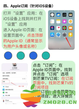 芒果tv自动续费在哪里关闭 芒果tv怎么邀请好友一起看 芒果tv自动续费在哪里关闭 芒果tv怎么邀请好友一起看