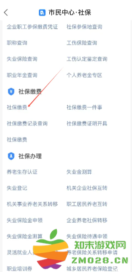 支付宝怎么城乡居民医保缴费 支付宝怎么隐藏真实姓名 支付宝怎么城乡居民医保缴费 支付宝怎么隐藏真实姓名