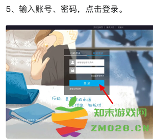 支付宝网页版回收站在哪里 支付宝网页版回收站永久删除改还能查到吗 支付宝网页版回收站在哪里 支付宝网页版回收站永久删除改还能查到吗