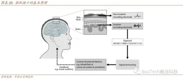 脑机接口2.0游戏-脑机接口专用版-装备合成指南-2025年4月最新版 脑机接口2.0游戏-脑机接口专用版-装备合成指南-2025年4月最新版