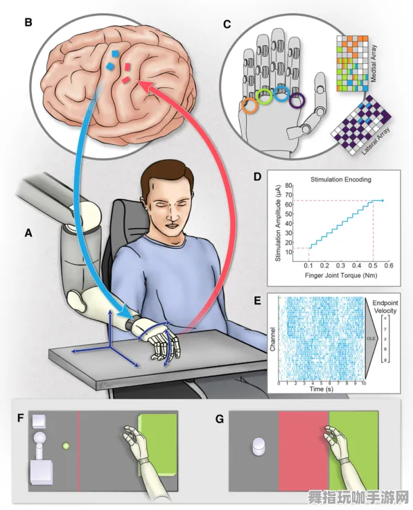 脑机接口2.0游戏-脑机接口专用版-4月版本V2.0 脑机接口2.0游戏-脑机接口专用版-4月版本V2.0